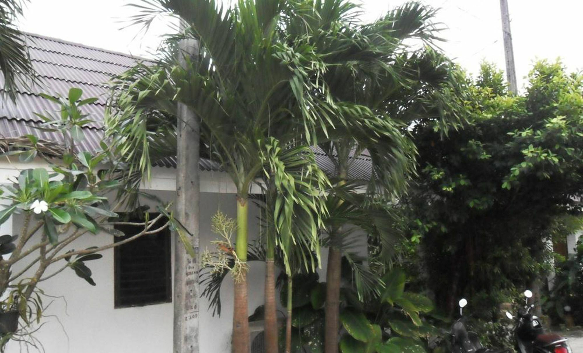 Aonang Sr Bungalows Ao Nang Zewnętrze zdjęcie