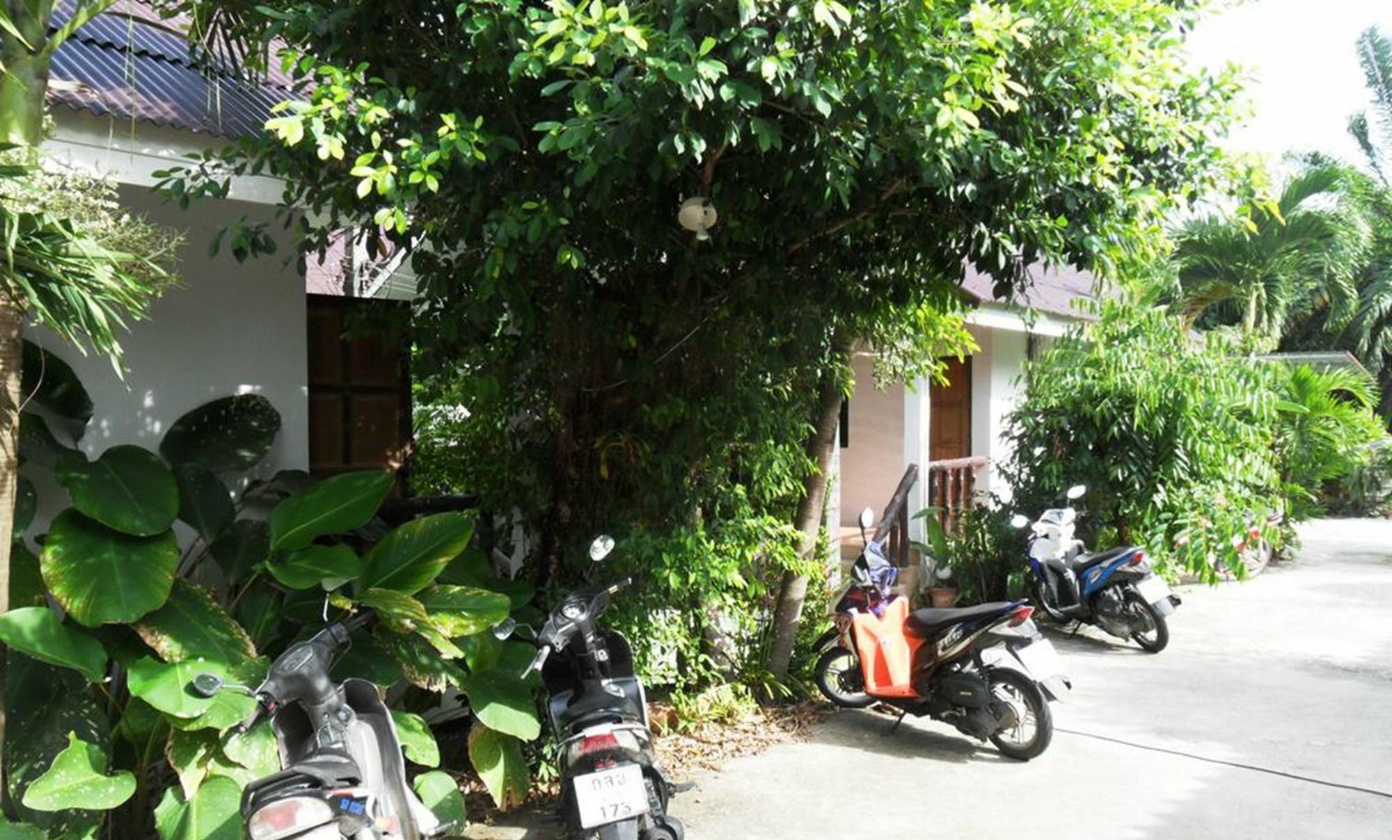 Aonang Sr Bungalows Ao Nang Zewnętrze zdjęcie